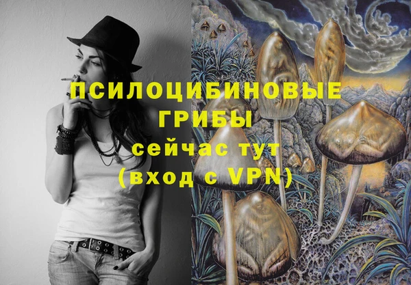 круглые Вяземский