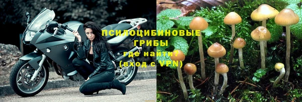jwh Верея